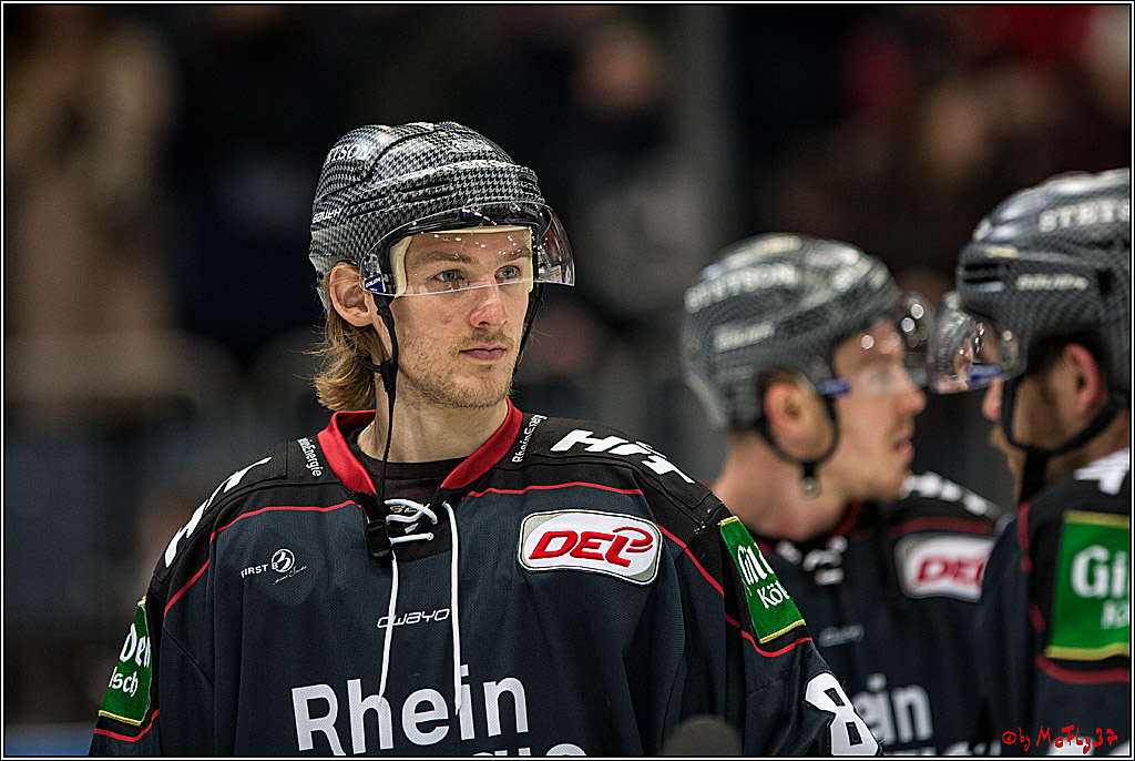 DEL, Koelner Haie - Nuernberg Ice Tiger, 24.01.2017